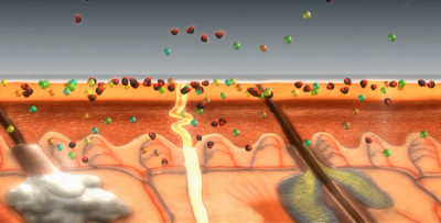 icaridin working theory